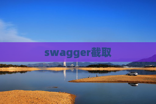 swagger截取